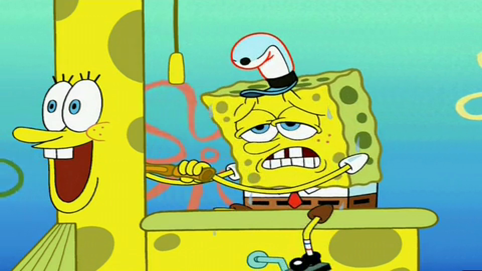 کارتون باب اسفنجی ؛ باب اسفنجی...