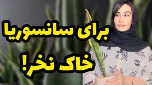 دیگه برای سانسوریا خاک نخرین ب...