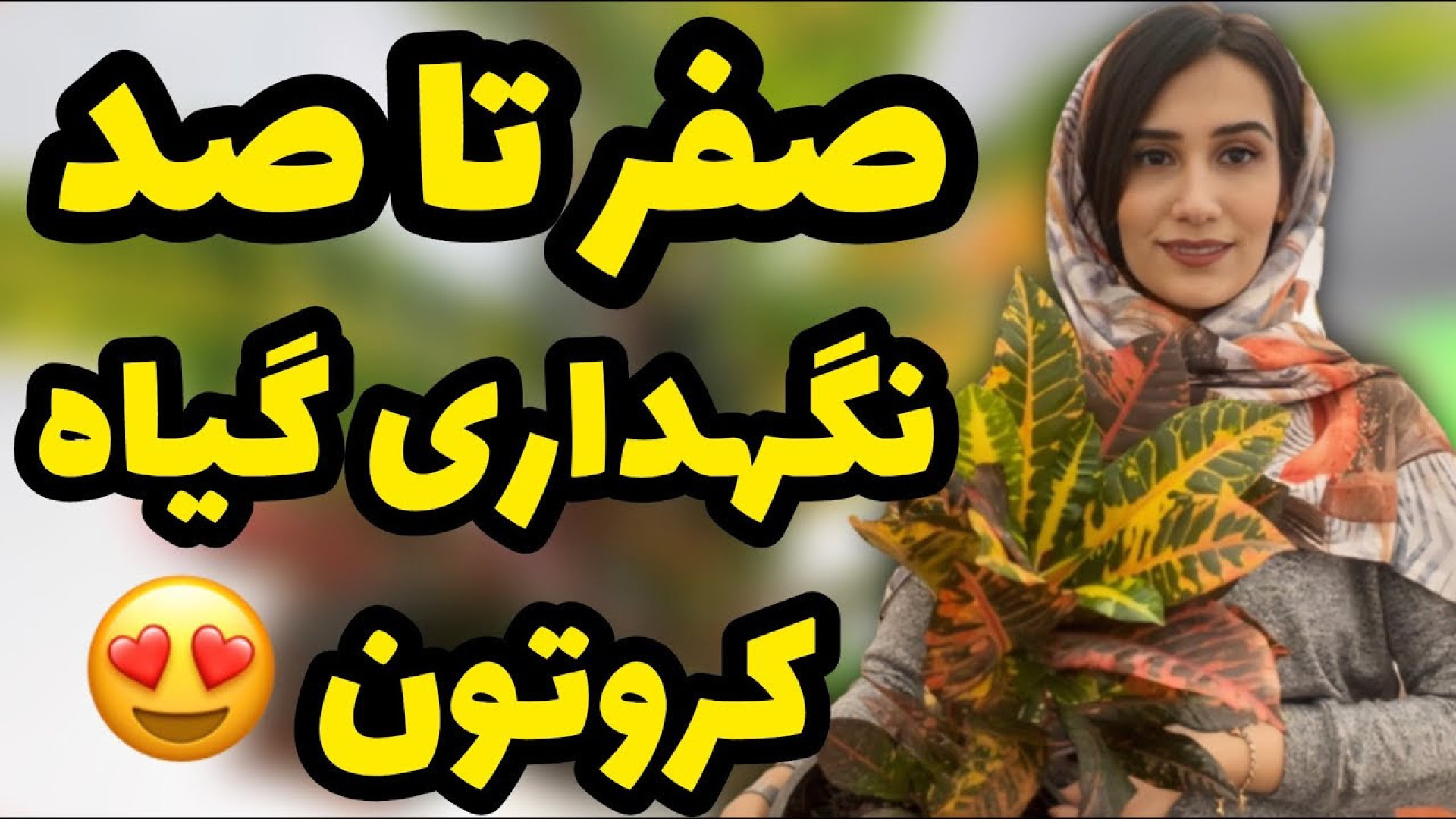 همه چیز در مورد کروتون قلق نگه...