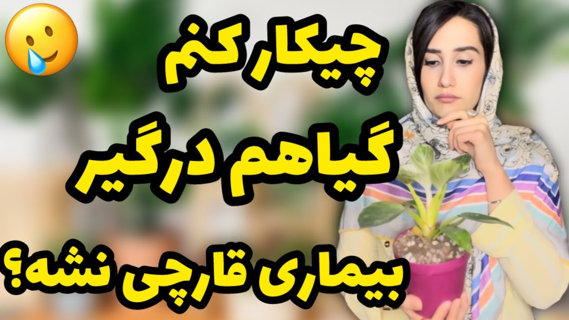 علت بیماری قارچی گیاهان چیکار...