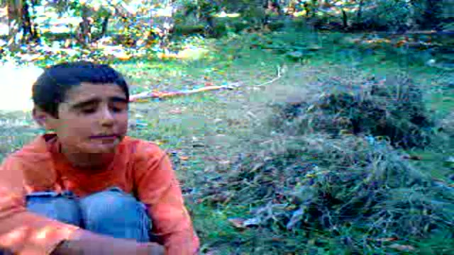 گل پری در رامسر