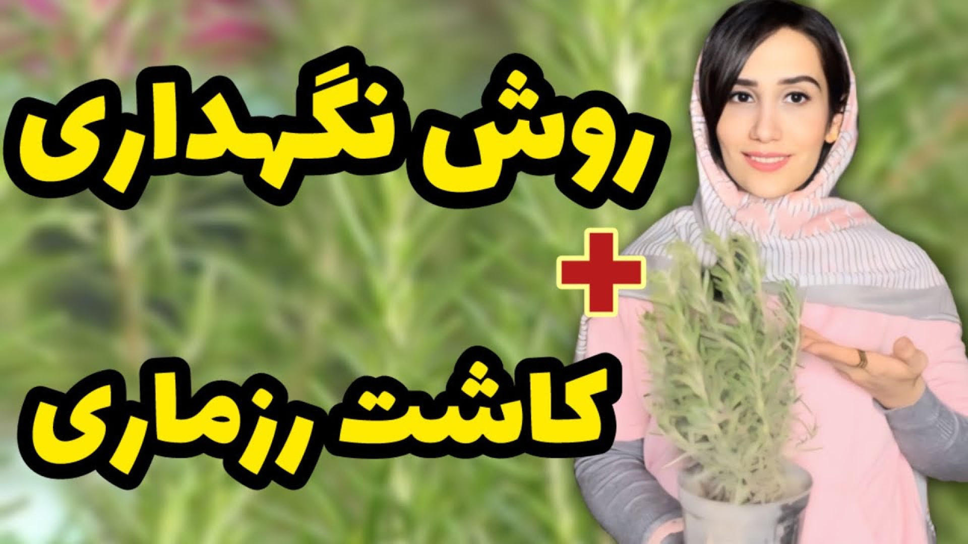 رزماری مقاوم ترین گیاه فضای با...