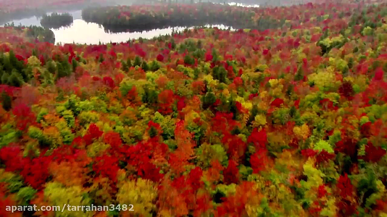 موزیک چیل اوت  S3