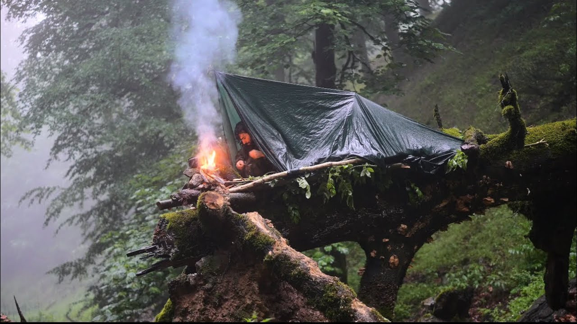 ساختن سرپناه درختی: کمپینگ در...