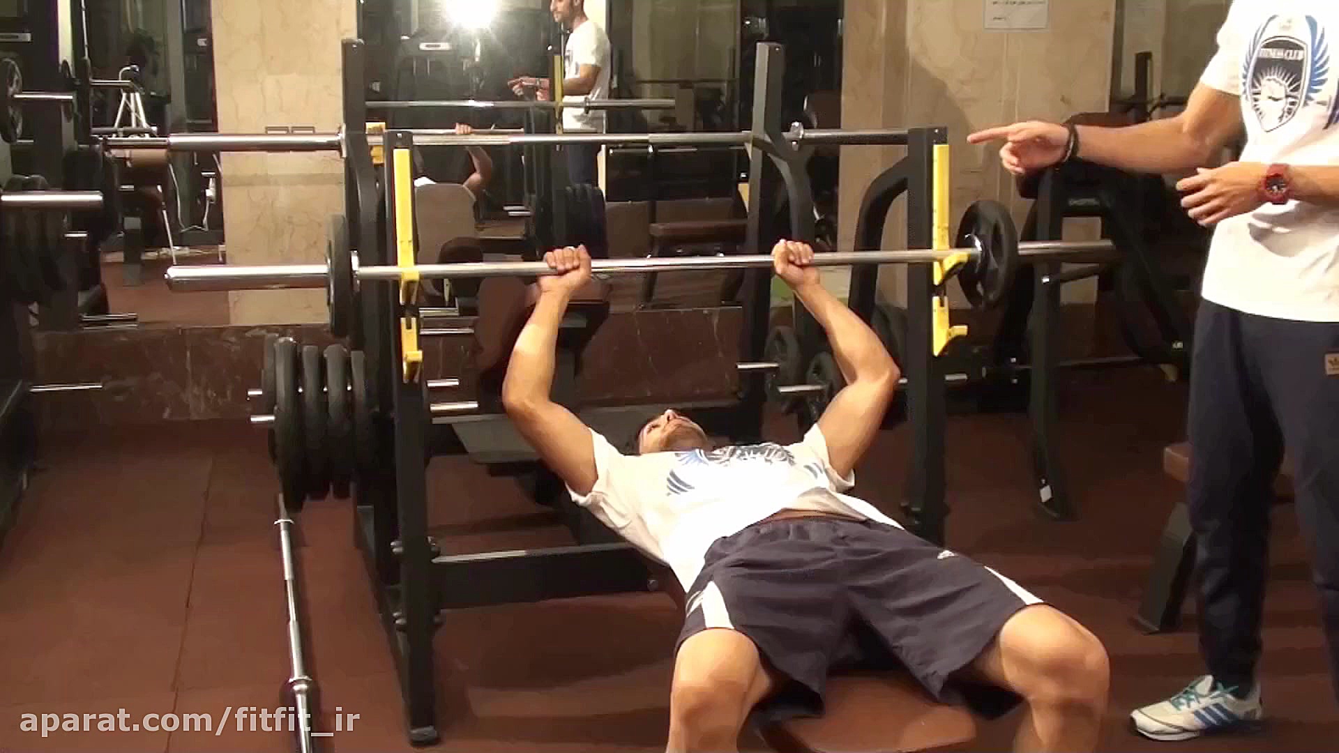 آموزش حرکت پرس سینه هالتر