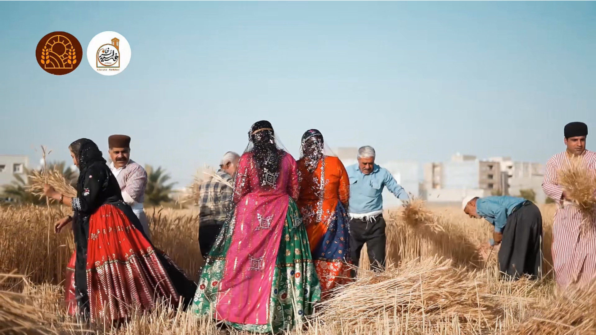 جولین ، سنتی ترین مراسم درو گن...