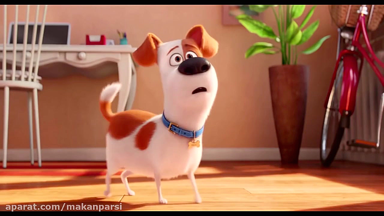 انیمیشن زندگی مخفی حیوانات The Secret Life Of Pets زمان676ثانیه