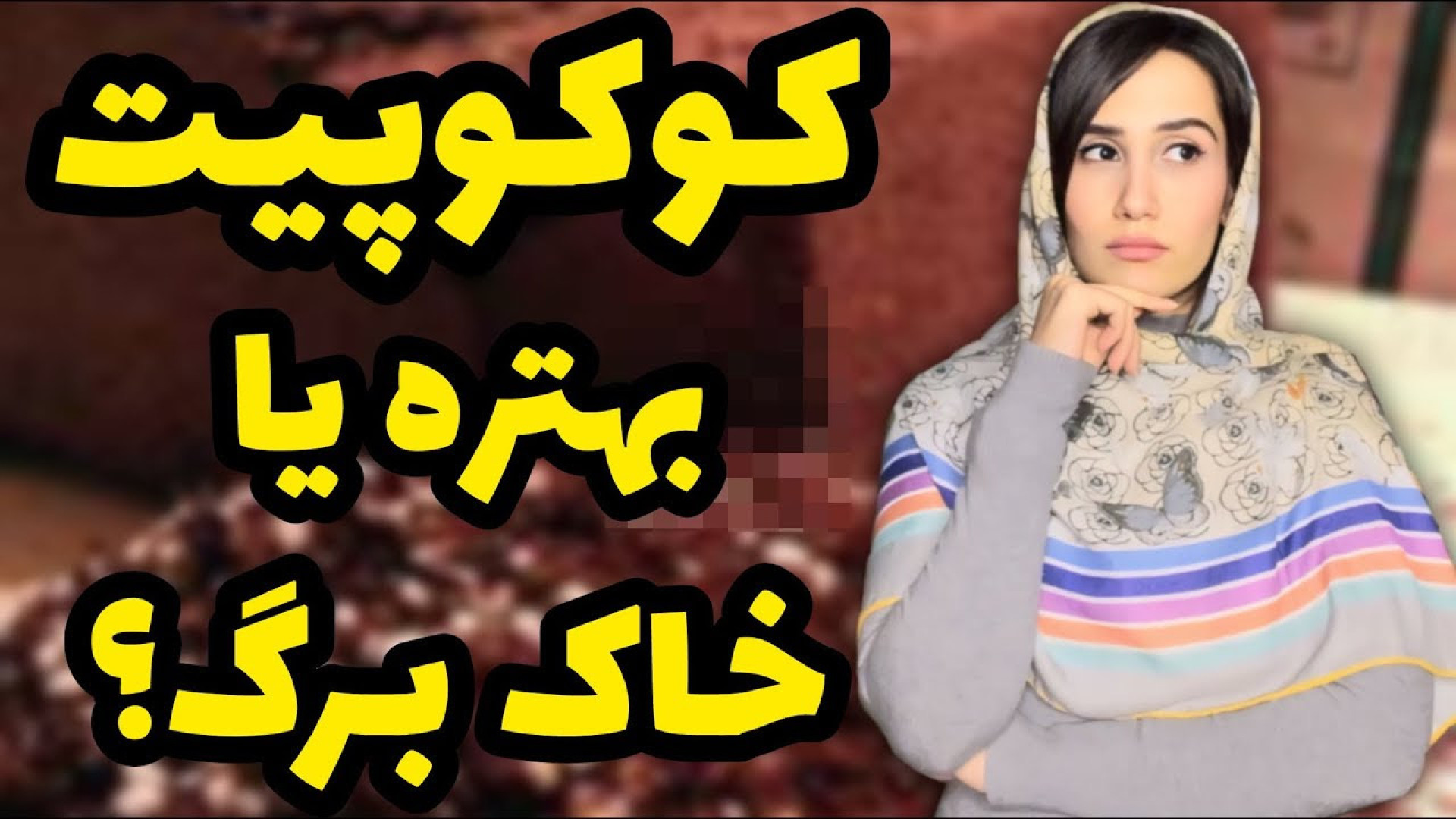 مقایسه کوکوپیت با خاک برگ بهتر...