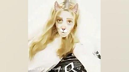 گربه معتاد دیدی بودین؟