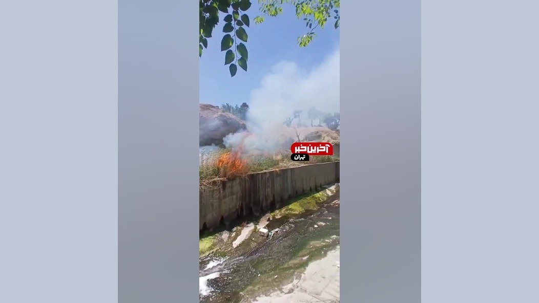 آتش سوزی عمدی در نزدیکی برج می...