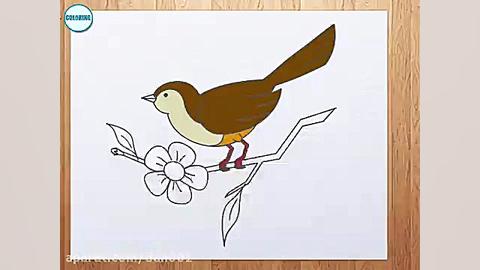 چگونه گنجشک بکشم؟