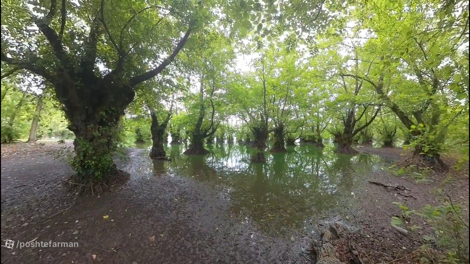 رانندگی و پیاده روی در تالاب ا...