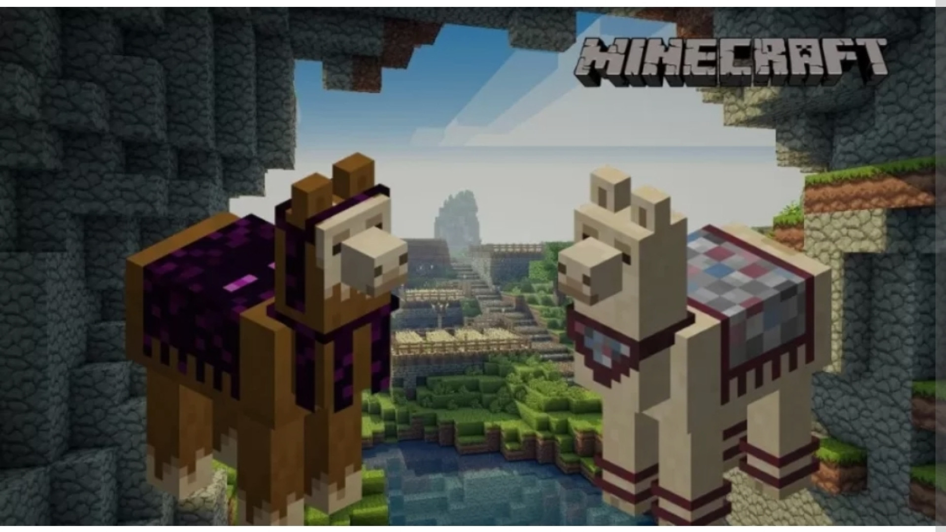 لاما بدون سر