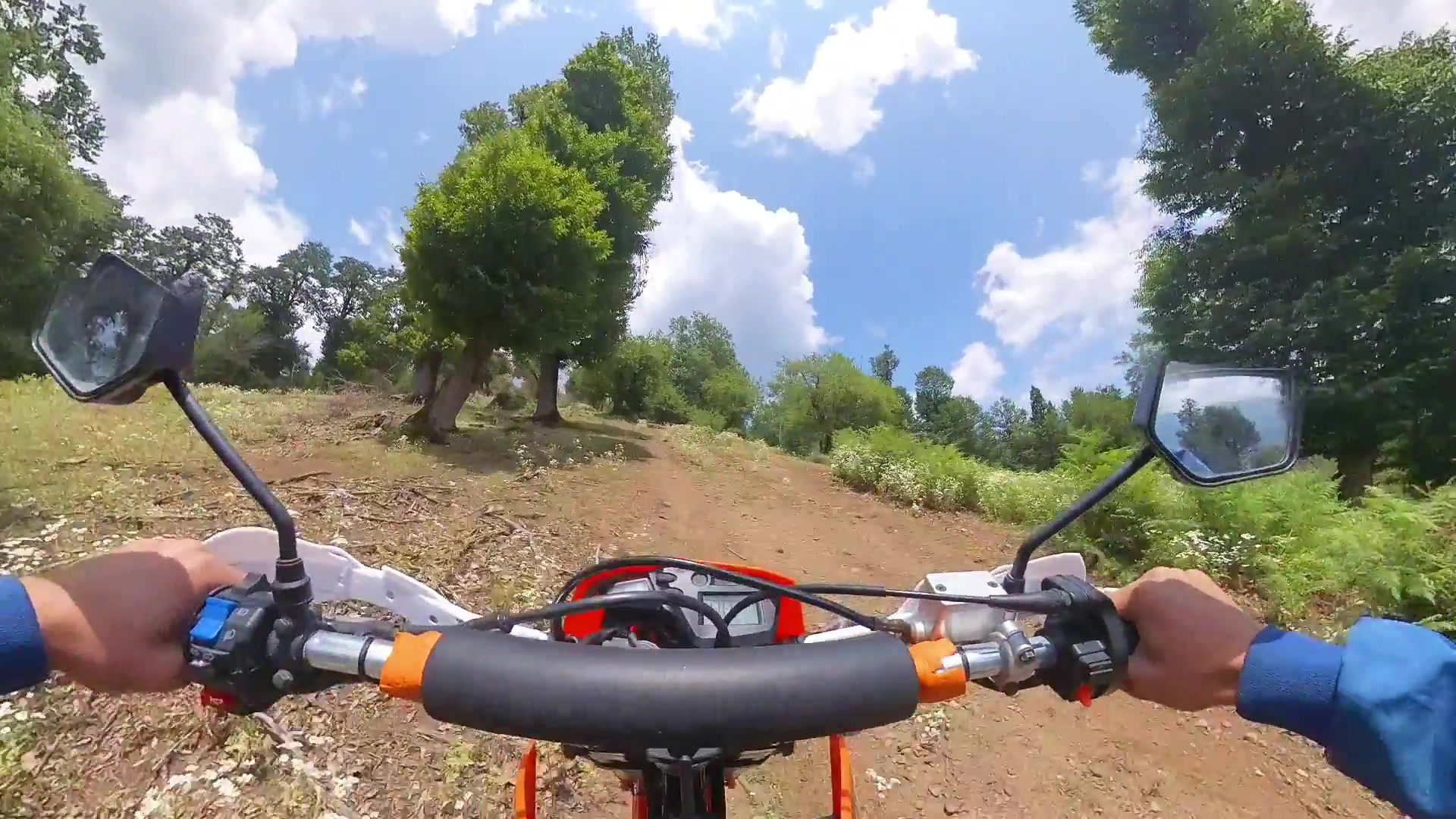 موتورسواری در جنگل