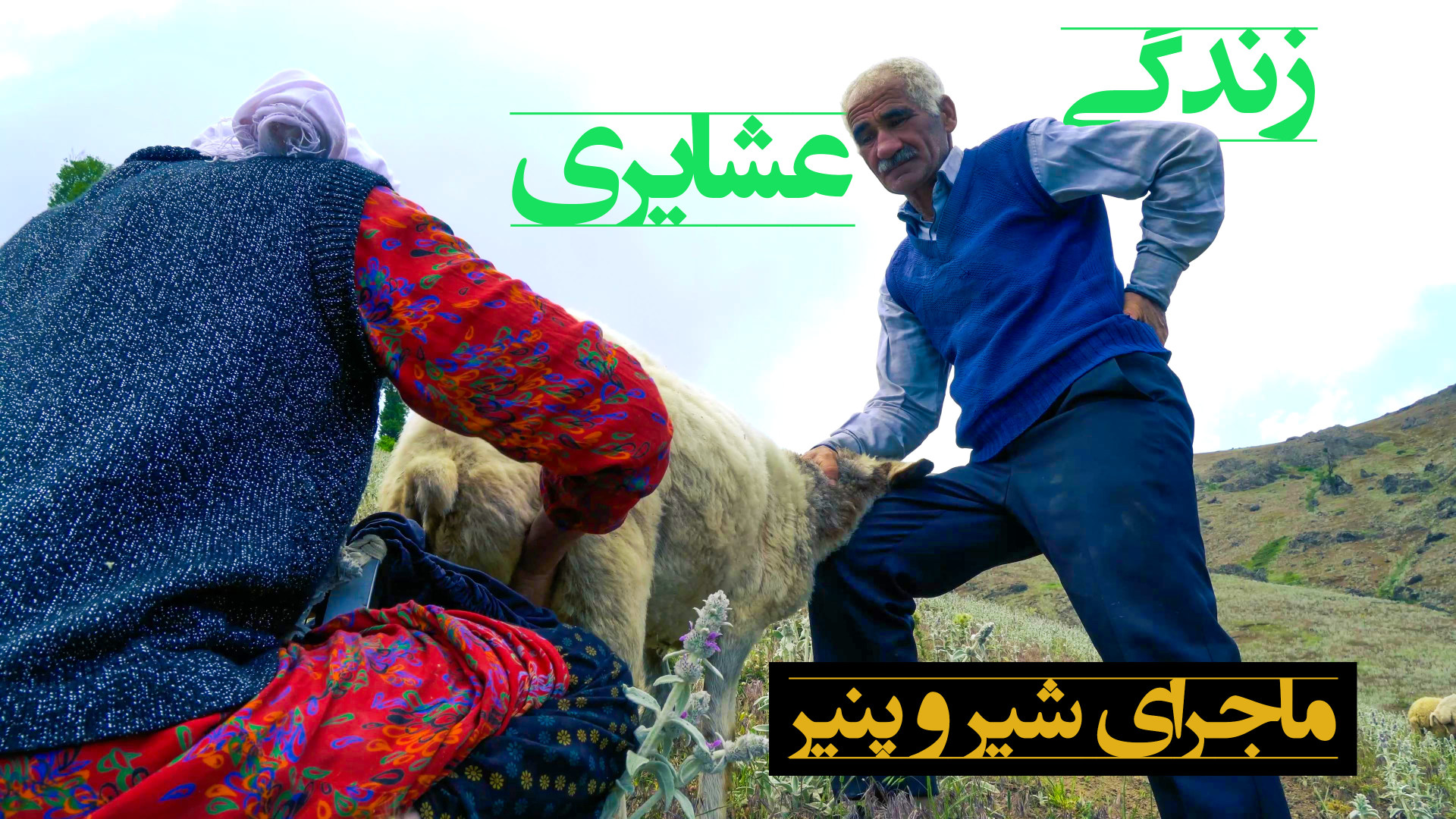 ماجرای شیر و پنیر زندگی عشایری...