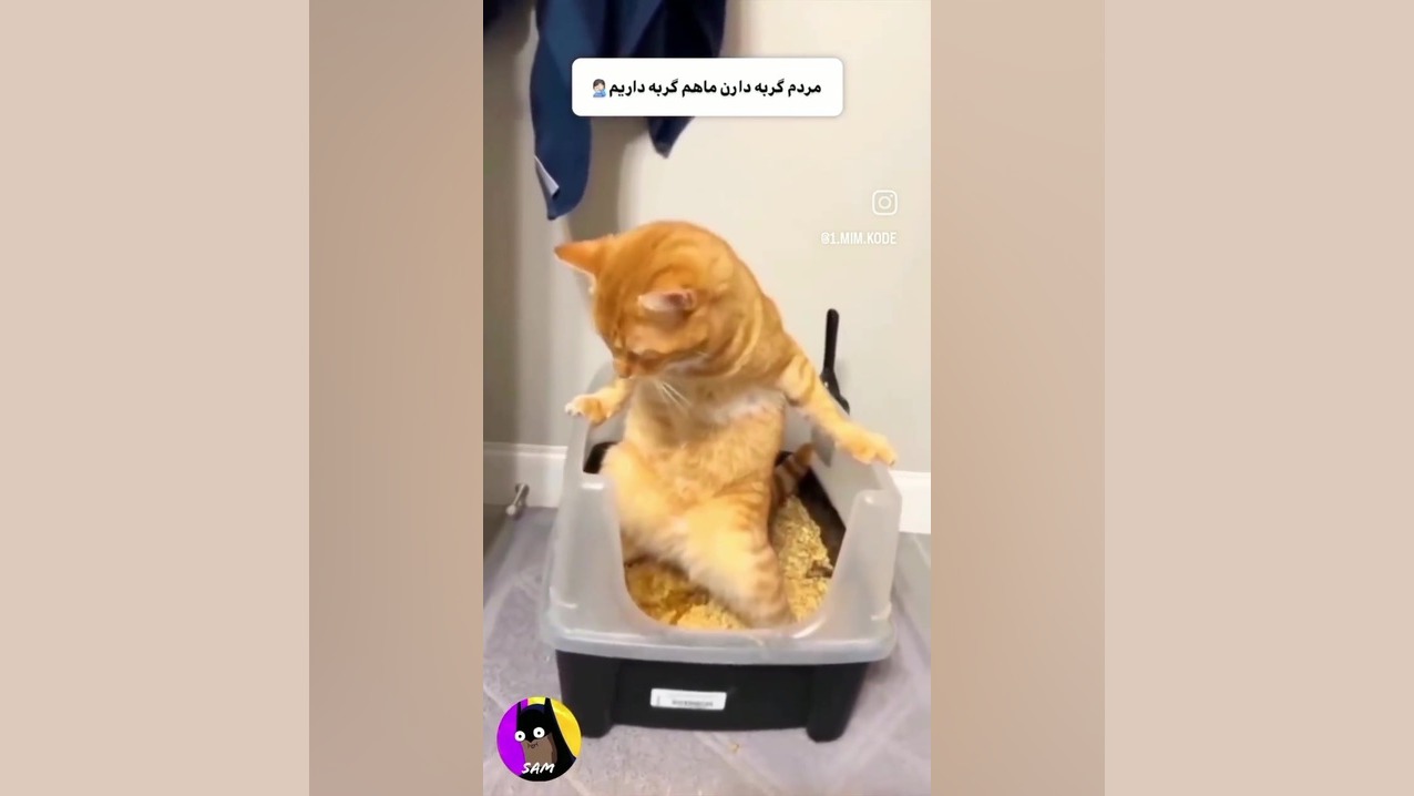 سم 2