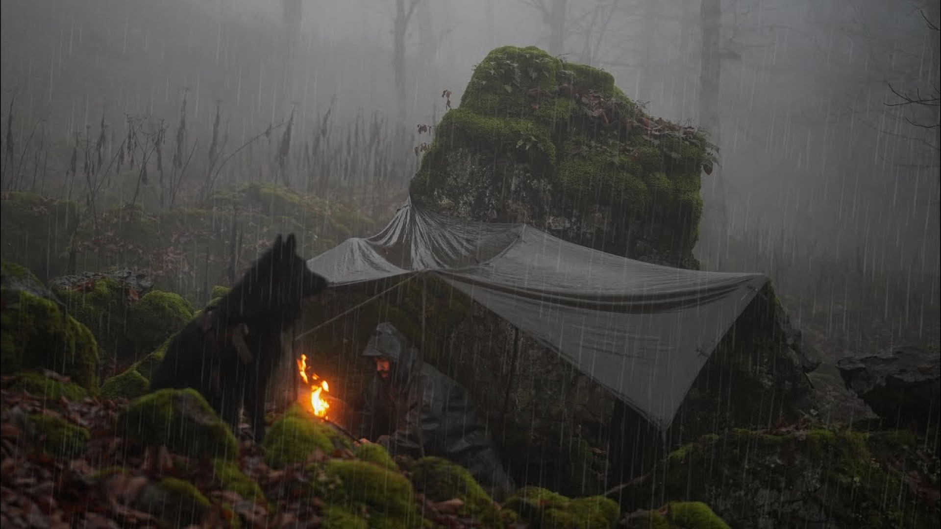 بقا در طوفان باران زیر یک صخره...