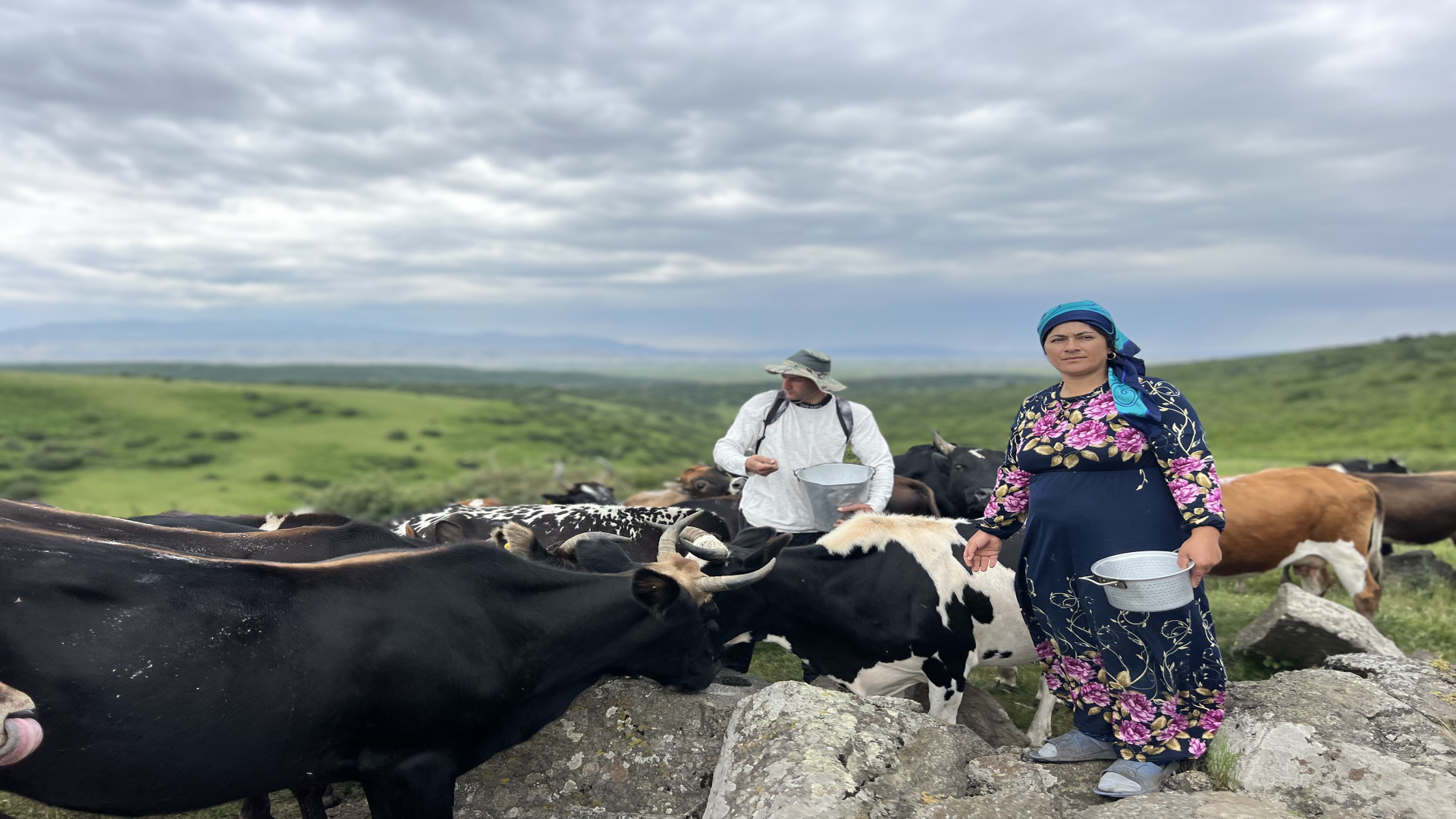 نمک دادن به گاوها و پختن نان م...