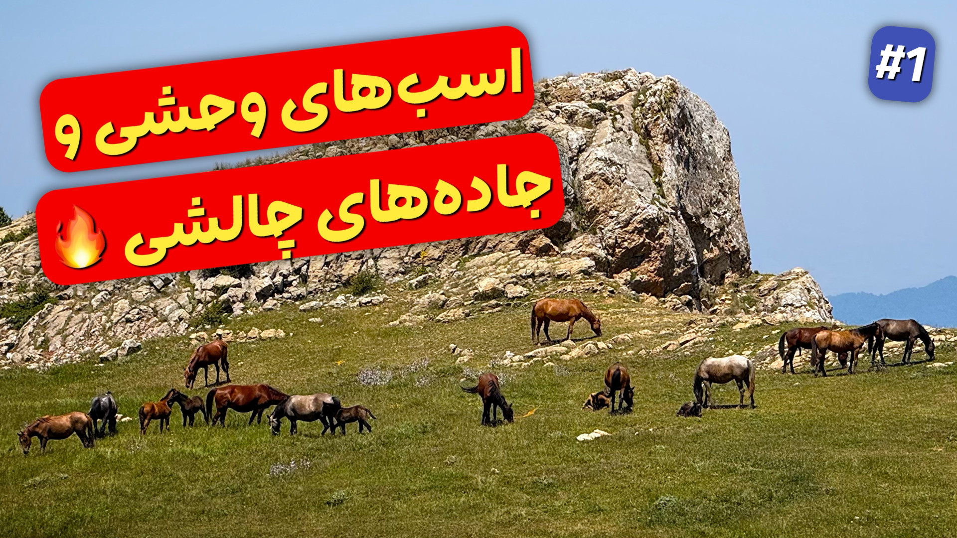 ماجراجویی با پاترول و تویوتا د...