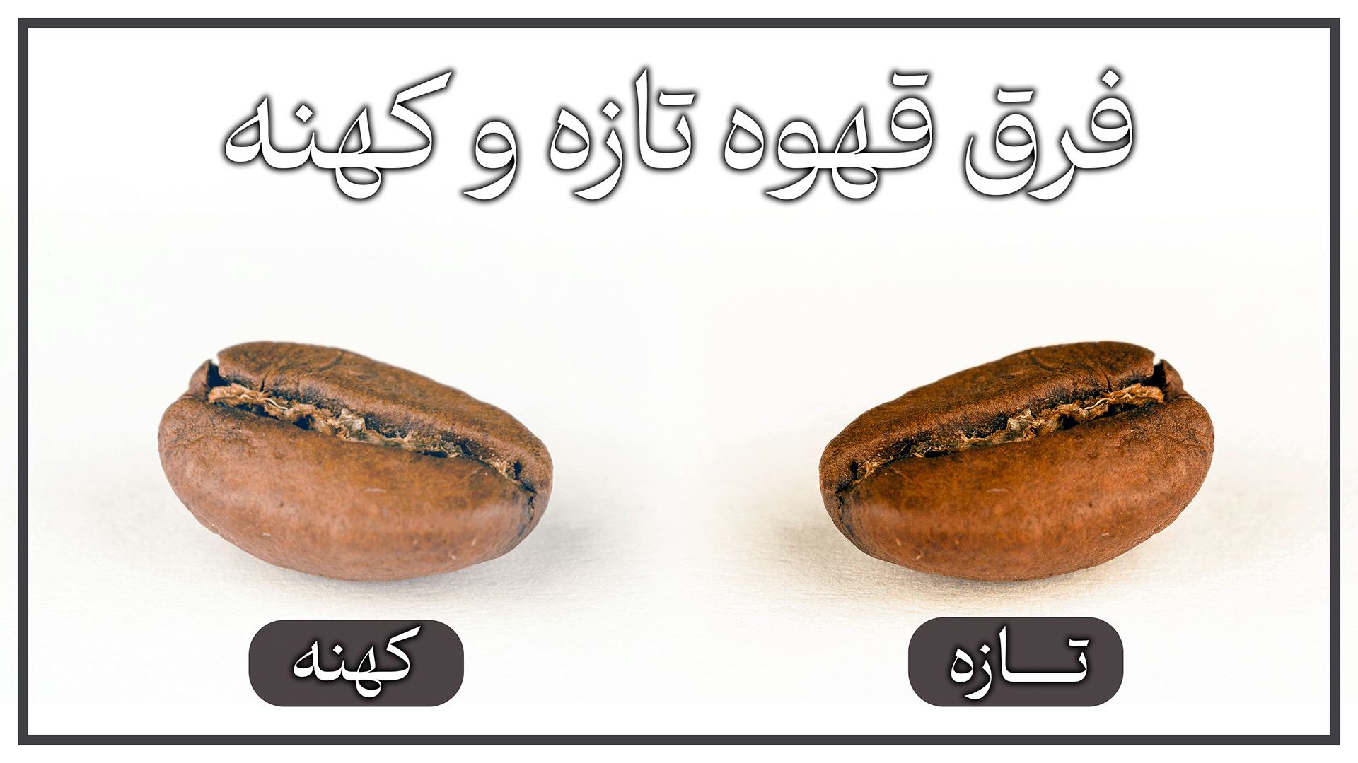 قهوه تازه یا کهنه؟ تفاوت‌ها و...