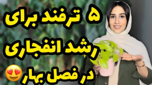 رشد انفجاری گیاهان آپارتمانی ۵...