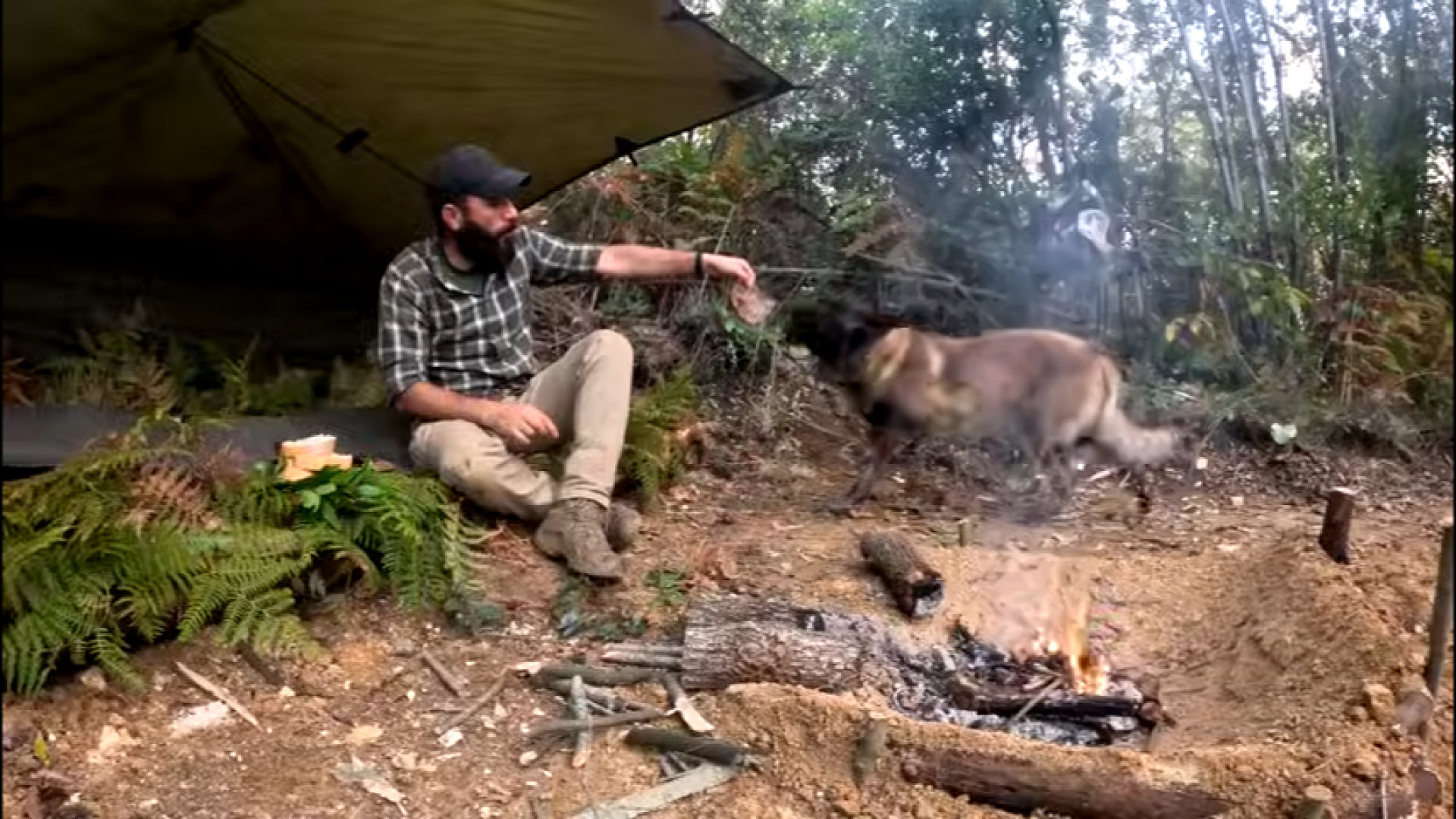 کمپ بقا در جنگل و پخت استیک رو...