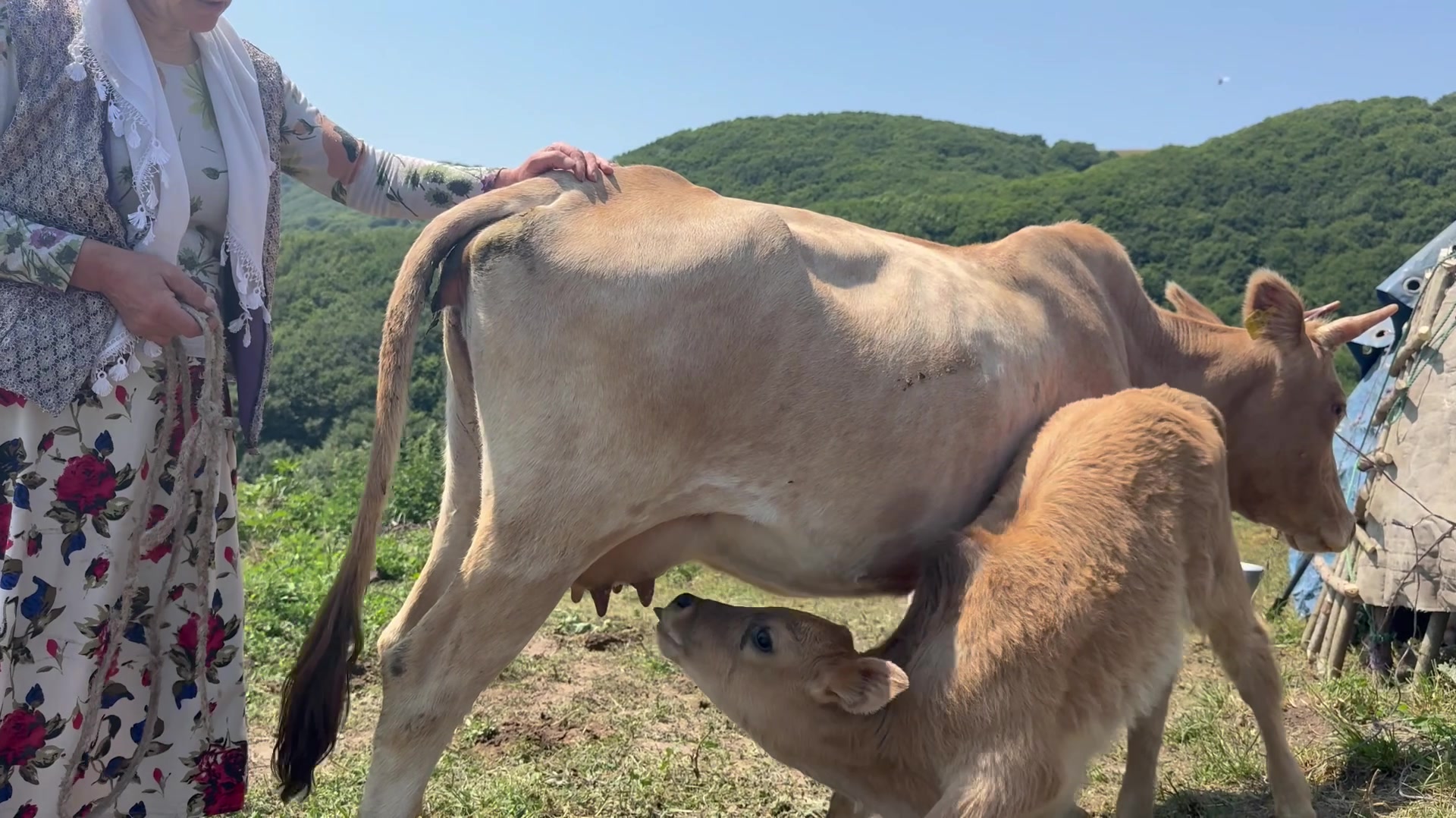 درست کردن پناهگاه در زندگی عشا...