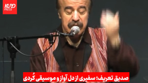 صدیق تعریف؛ سفیری از دل آواز و...