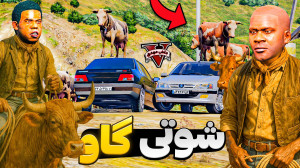 قاچاق گاو برای گذروندن زندگی ت...
