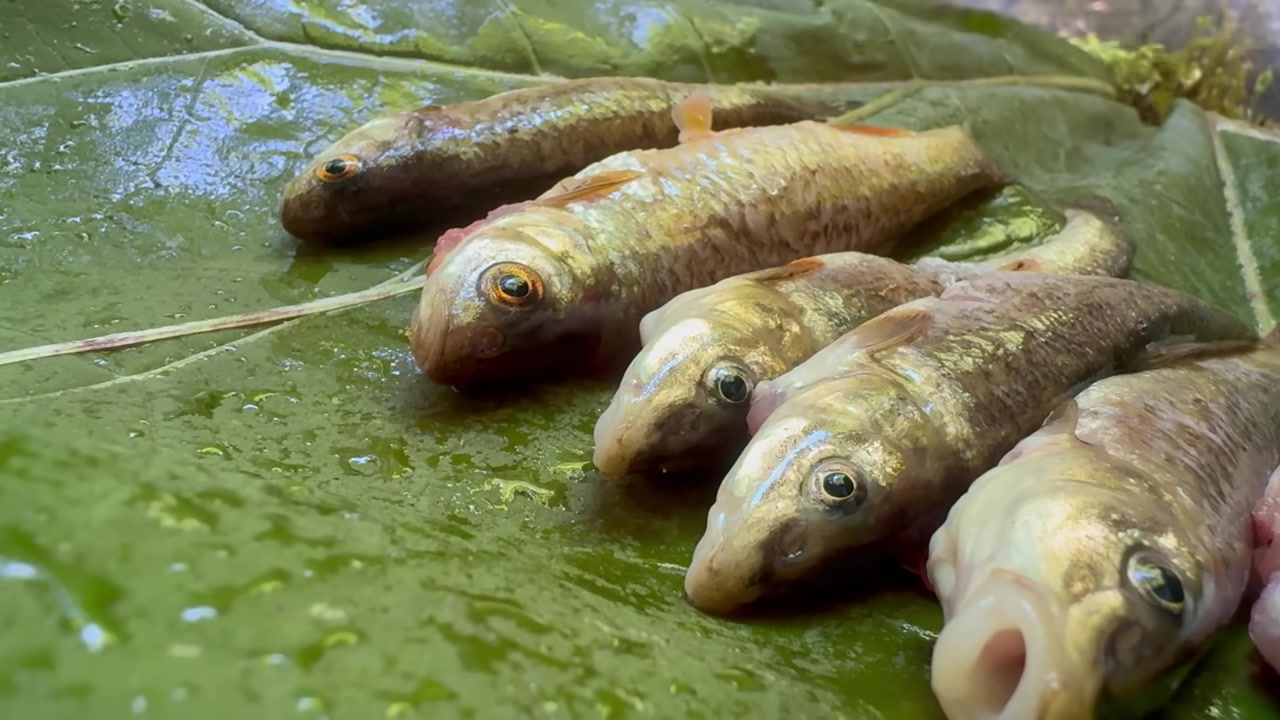 ساخت کلبه ای شگفت انگیز و زیبا...