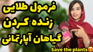 فرمول احیا کردن گیاهان آپارتما...