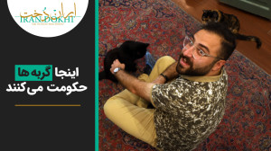 کت پرسنی ولی نمیدونی میوزه وجو...