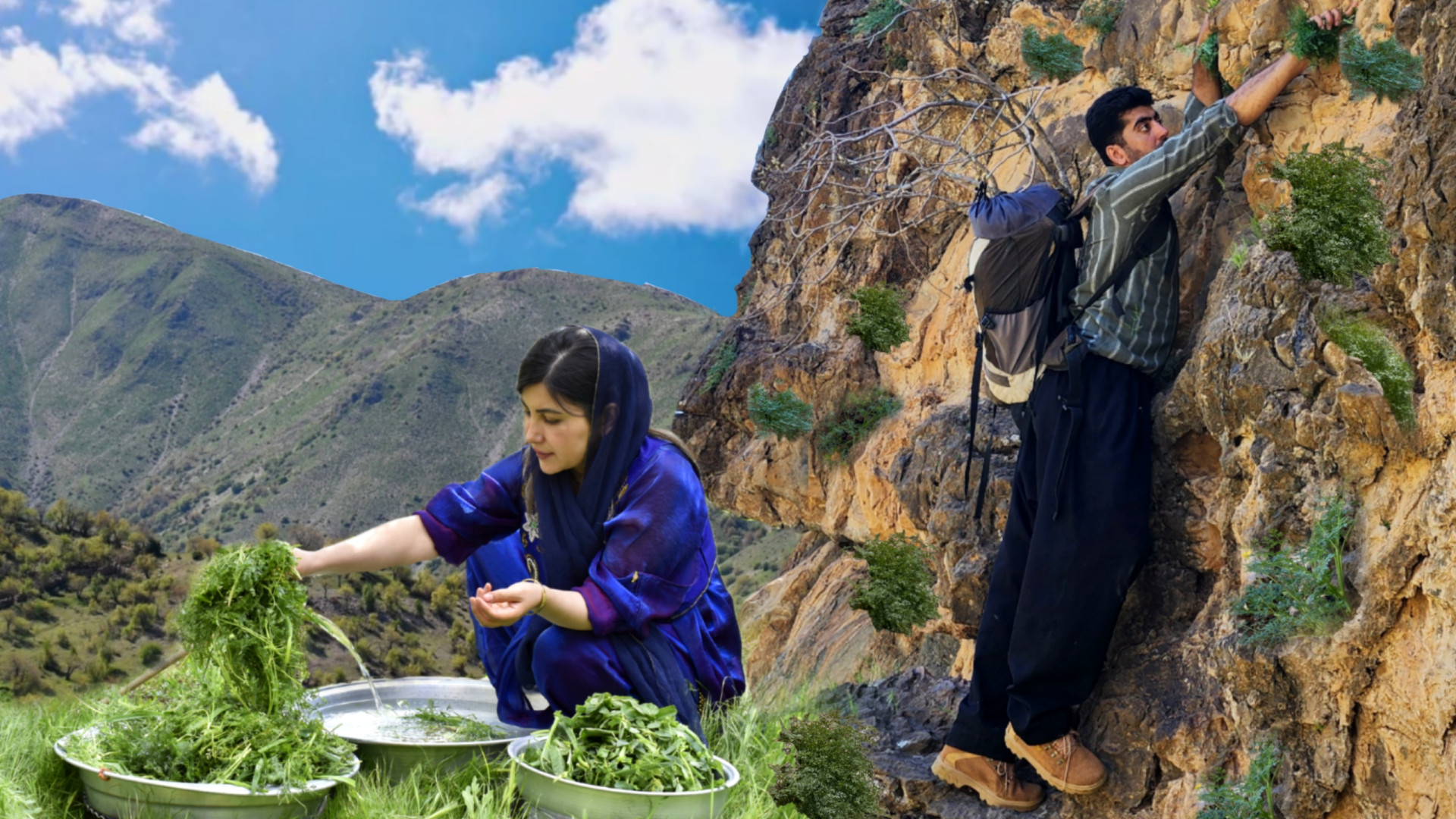 پخت قورمه سبزی با گیاهان کوهی...