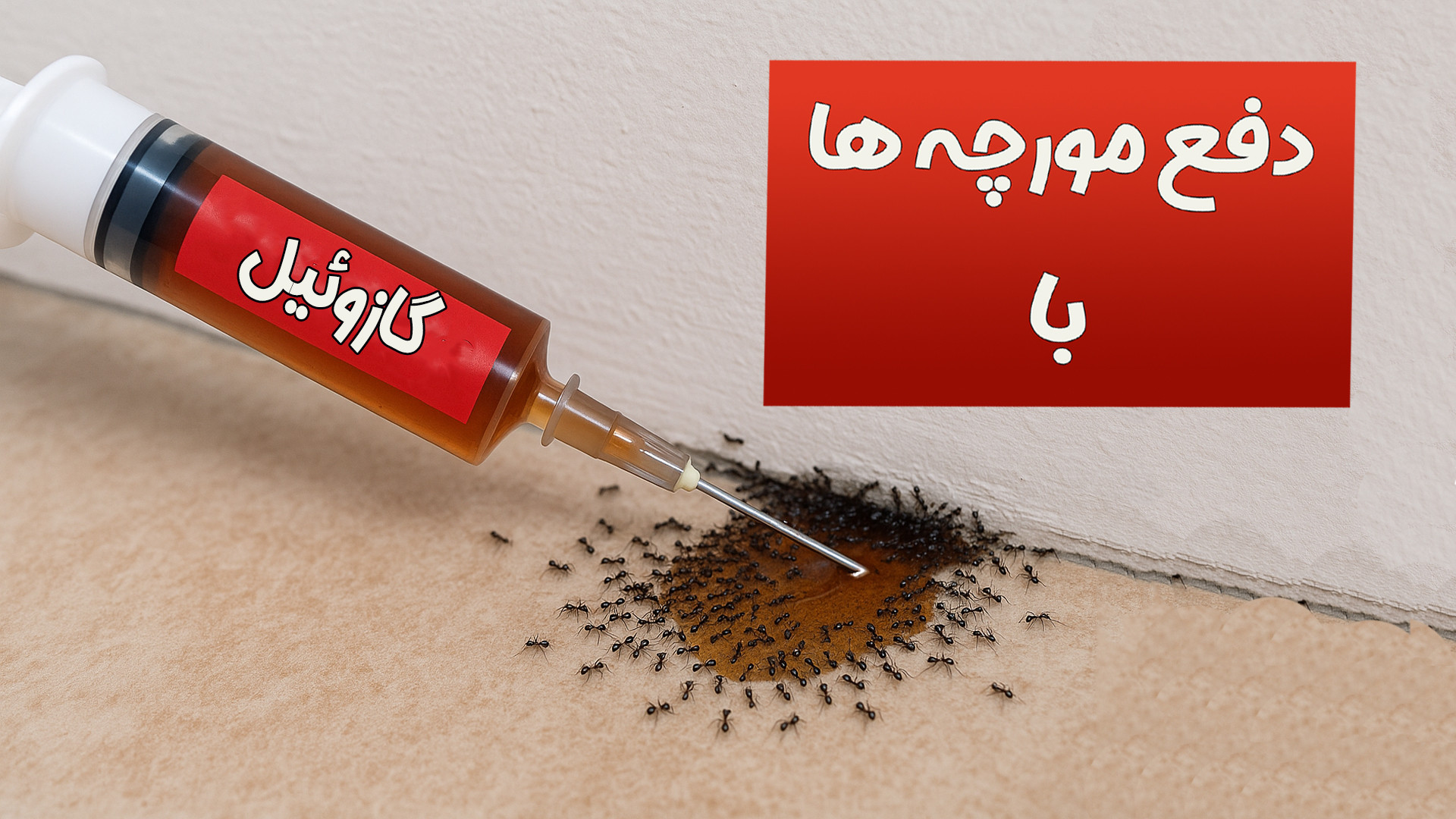مورچه‌ها رو فراری بده! بدون سم