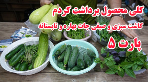 پارت پنجم صفر تا صد کاشت سبزی...