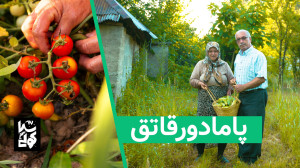 پامادور قاتق خورش گوجه فرنگی گ...