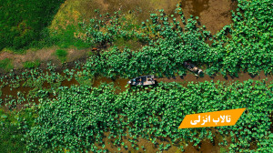 قایقسواری در تالاب انزلی