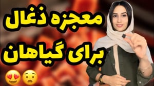 معجزه ذغال برای گیاهان آپارتما...