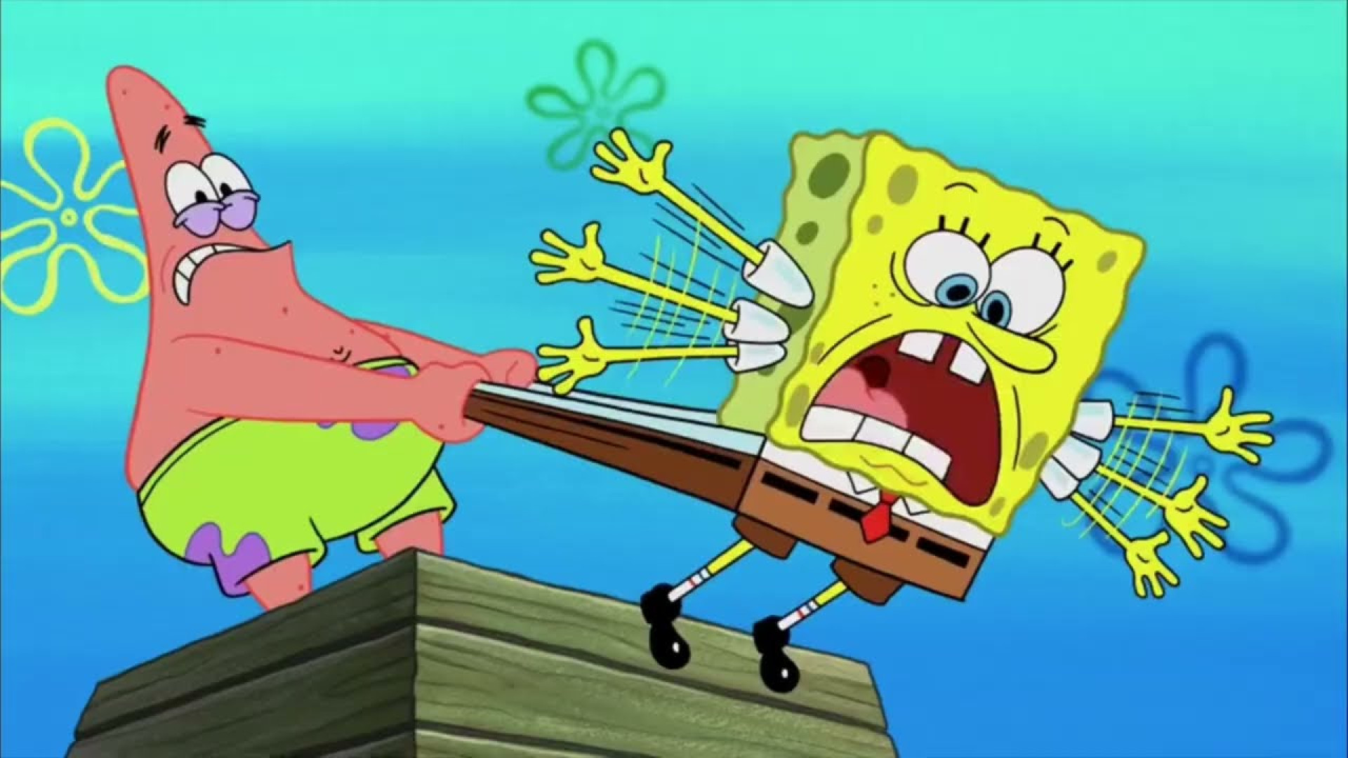 باب اسفنجی آپارات، انیمیشن باب...