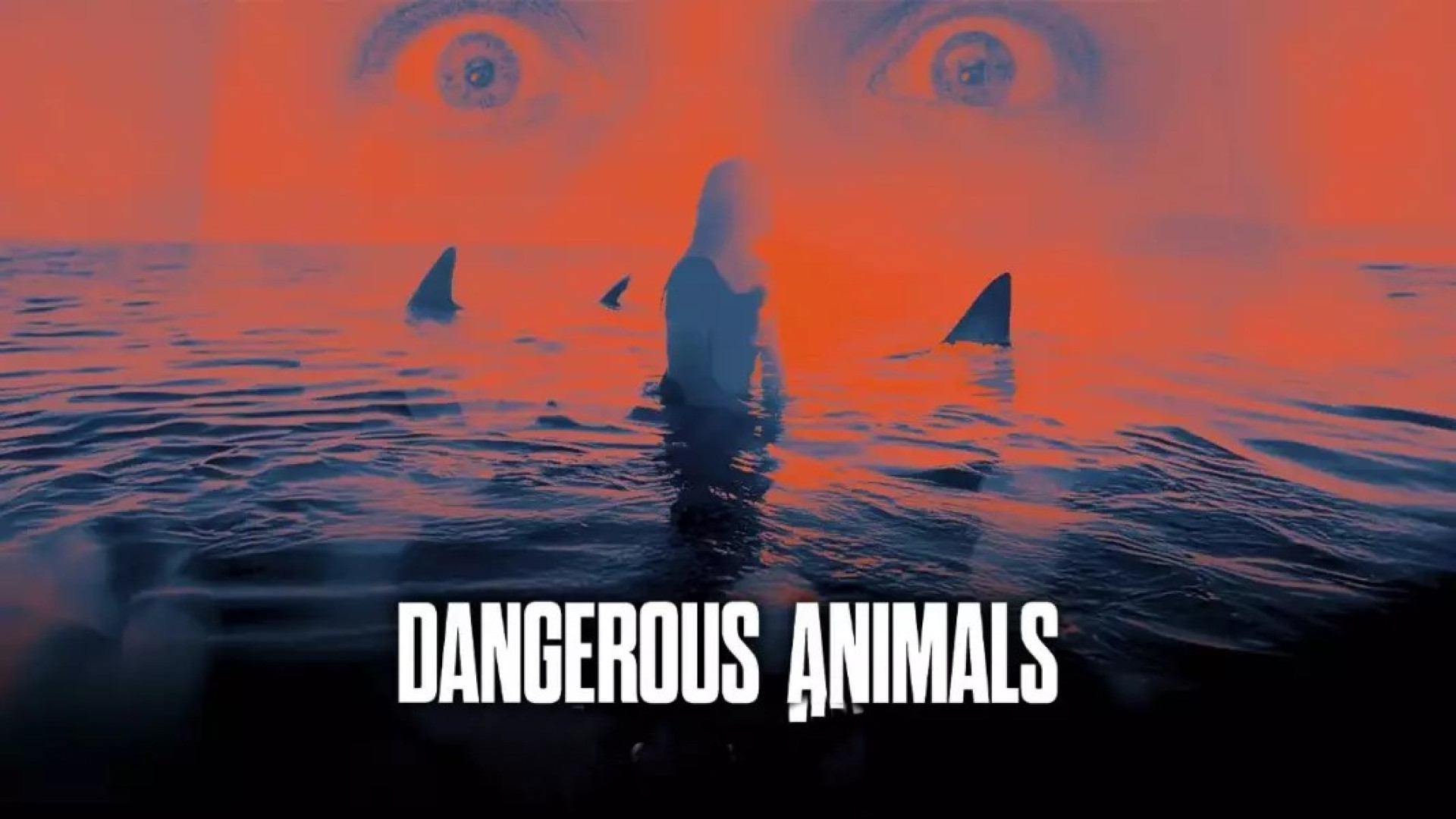 فیلم ترسناک و هیجان انگیــــز حیوانات خطرناک | Dangerous Animals زمان5378ثانیه