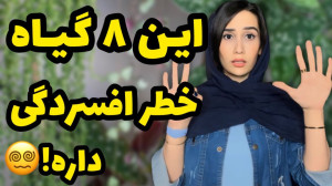 ۸ گیاه ممنوعه برای داخل آپارتم...