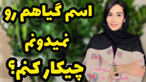 اسم گیاهم رو نمیدونم چجوری اسم...