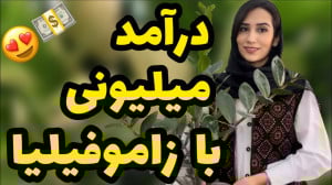 کسب درآمد با زاموفیلیا چجوری م...