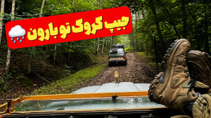 بارون، جنگل، طبیعت | یه جنگل ب...