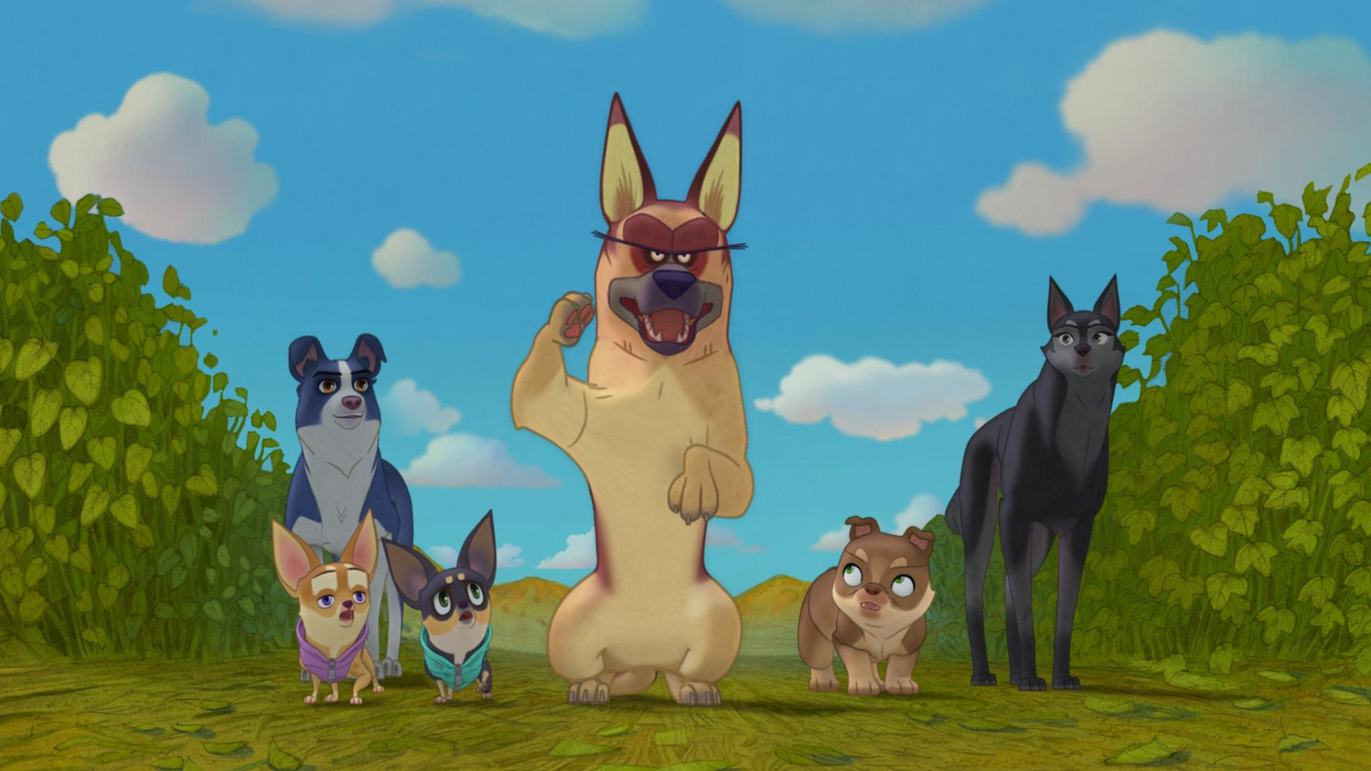 انیمیشن شجاعت یک سگ (Dog's courage) زمان6050ثانیه