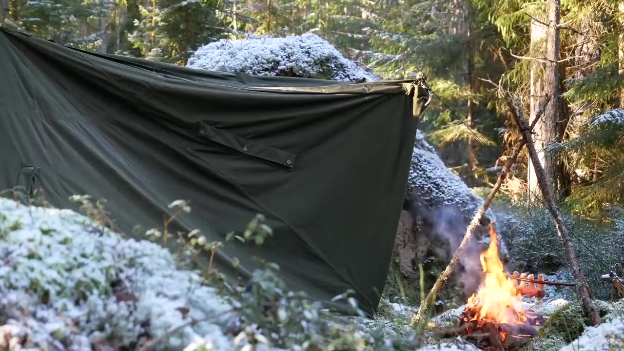 کمپینگ در جنگلهای یخ زده شمالی