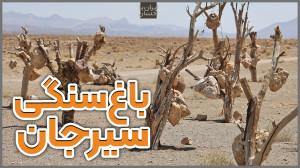ایرانگردی | باغ سنگی سیرجان
