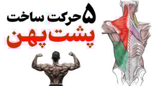 5 تمرین برای ساخت عضلات پشت په...