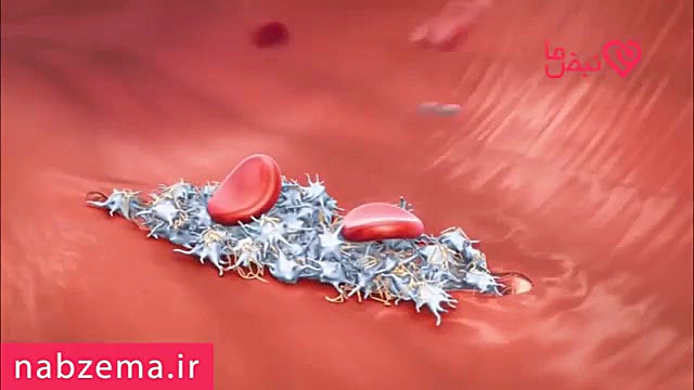 پوست چگونه زخم را ترمیم می کند...