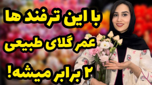 افزایش ۲ برابری عمر گلهای شاخه...